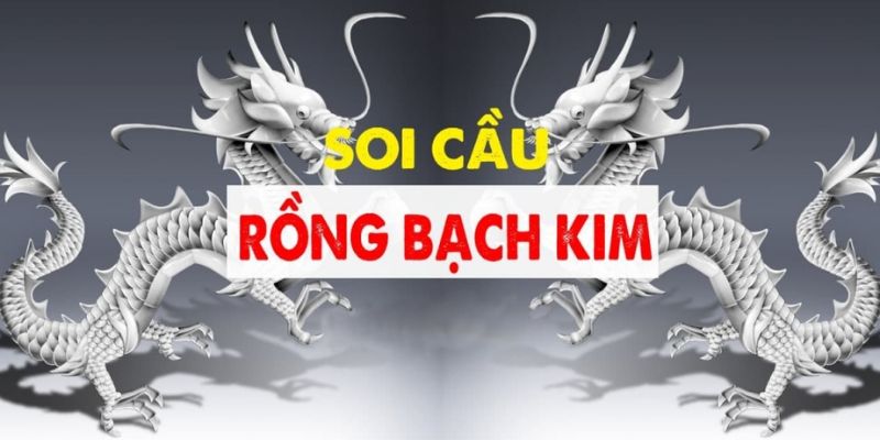 Khám phá thông tin về dàn đề rồng bạch kim